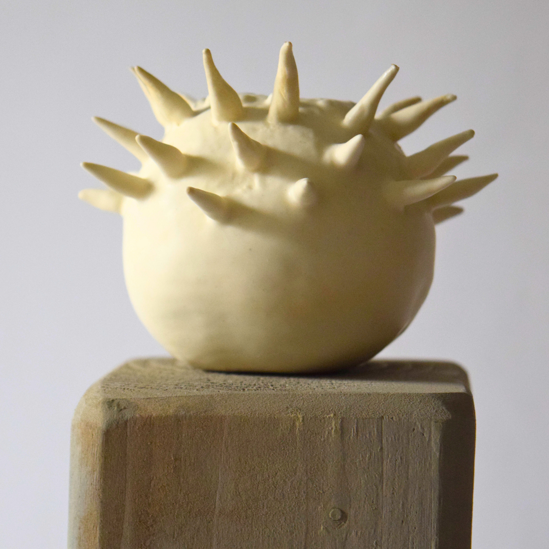 Berzi, Anaïs - Apple 08