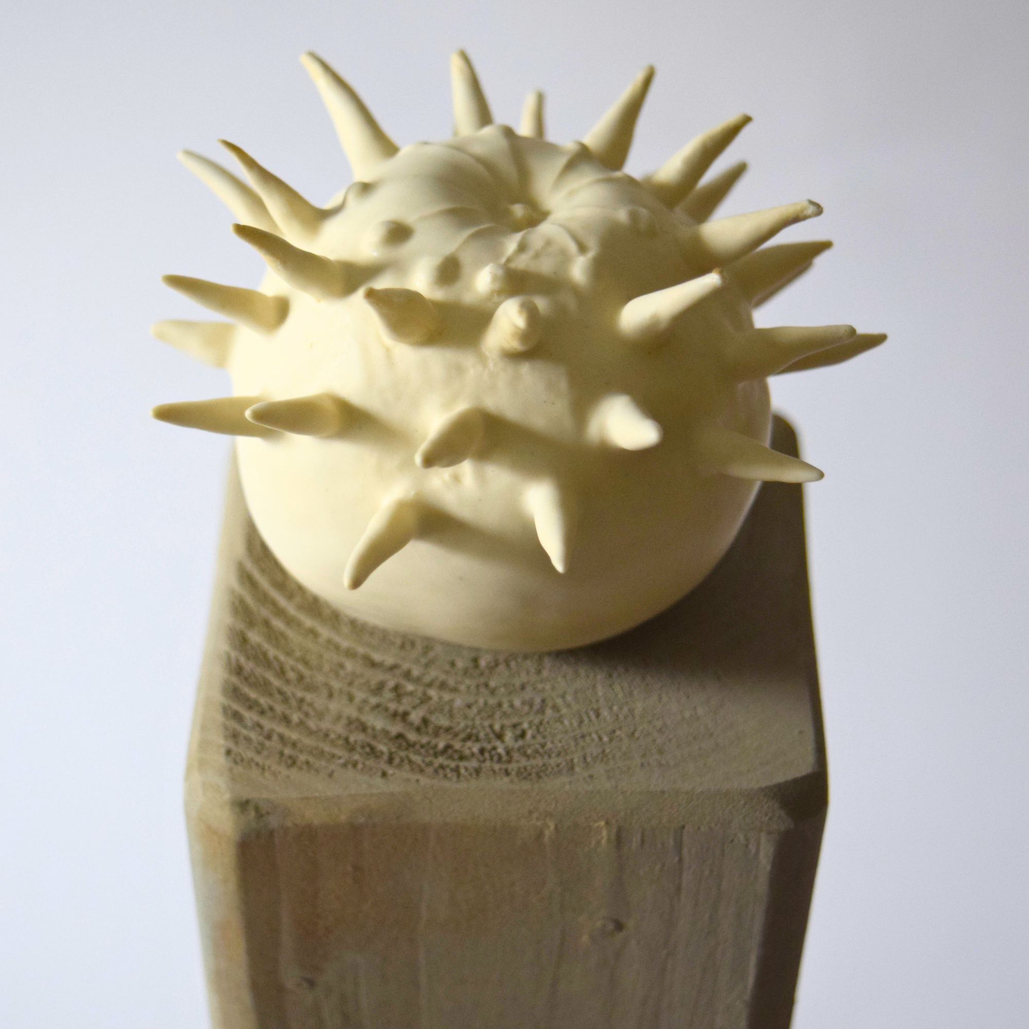 Berzi, Anaïs - Apple 08