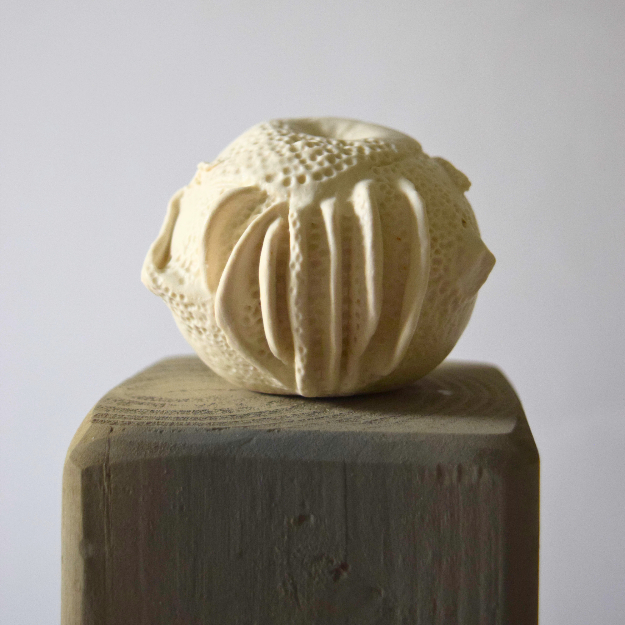 Berzi, Anaïs - Apple 05