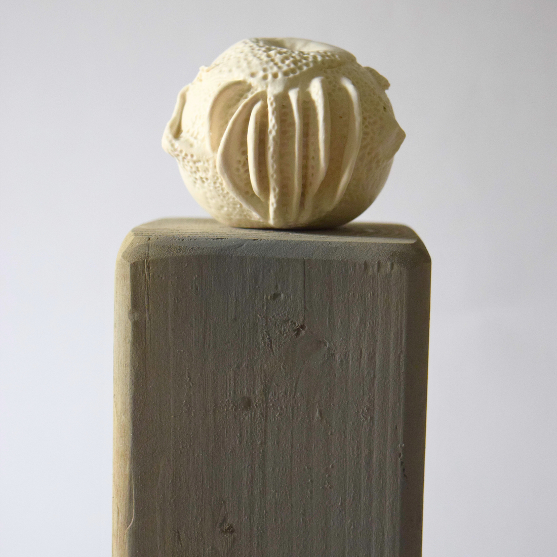 Berzi, Anaïs - Apple 05