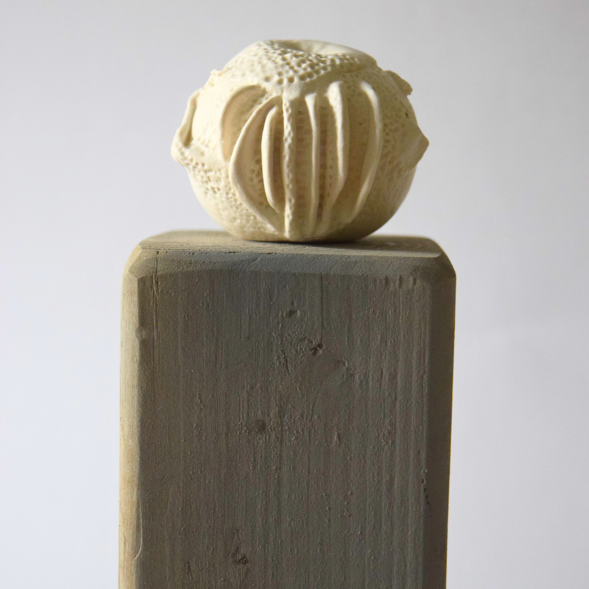 Berzi, Anaïs - Apple 05