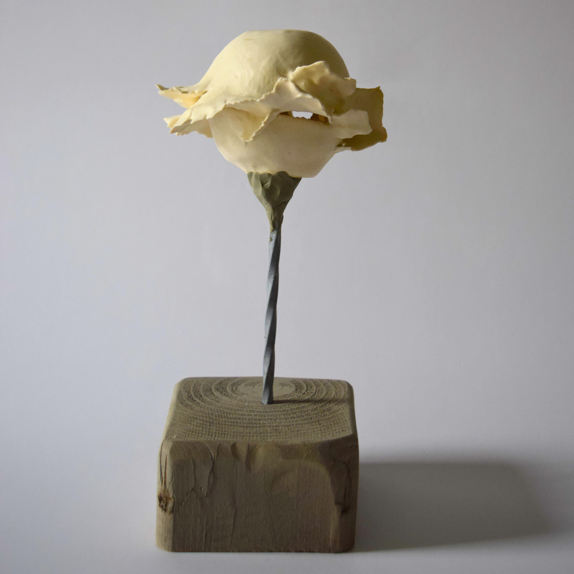 Berzi, Anaïs - Apple 04