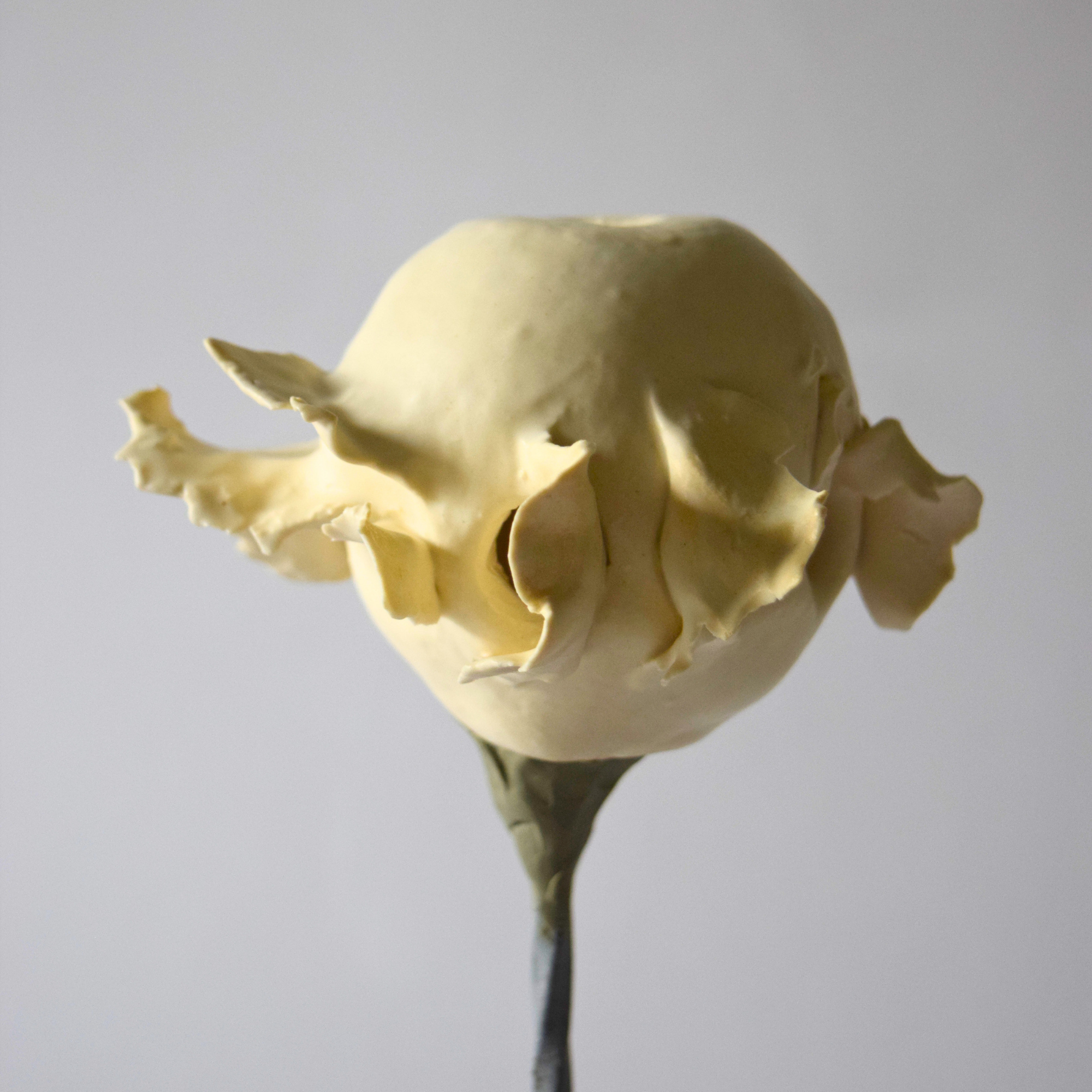 Berzi, Anaïs - Apple 04