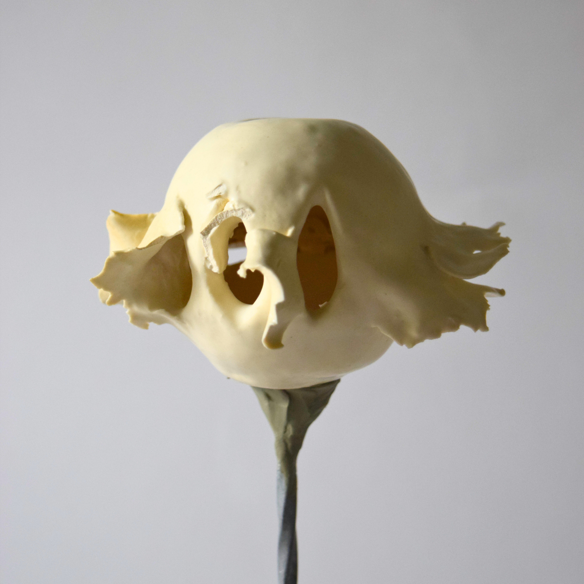 Berzi, Anaïs - Apple 04