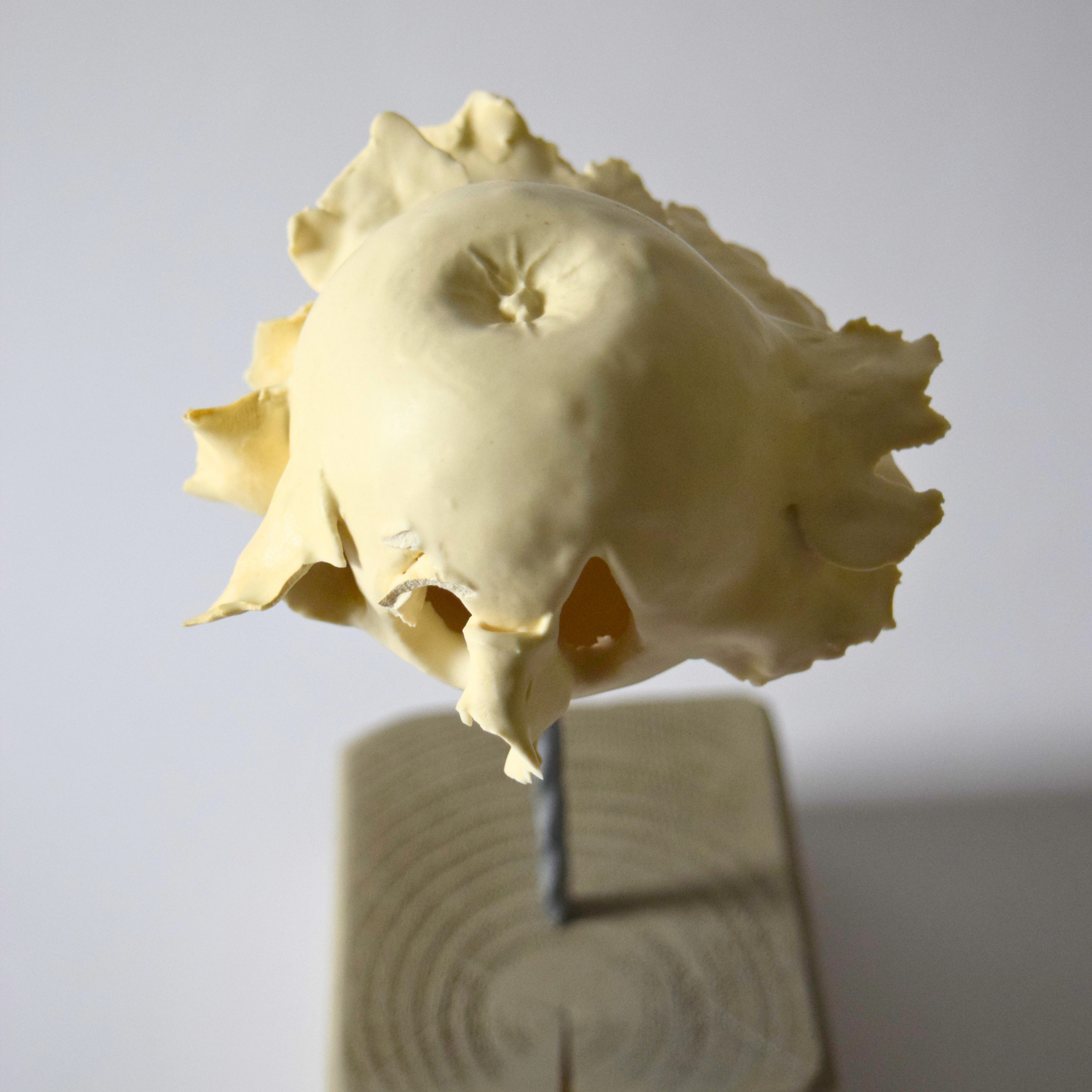 Berzi, Anaïs - Apple 04