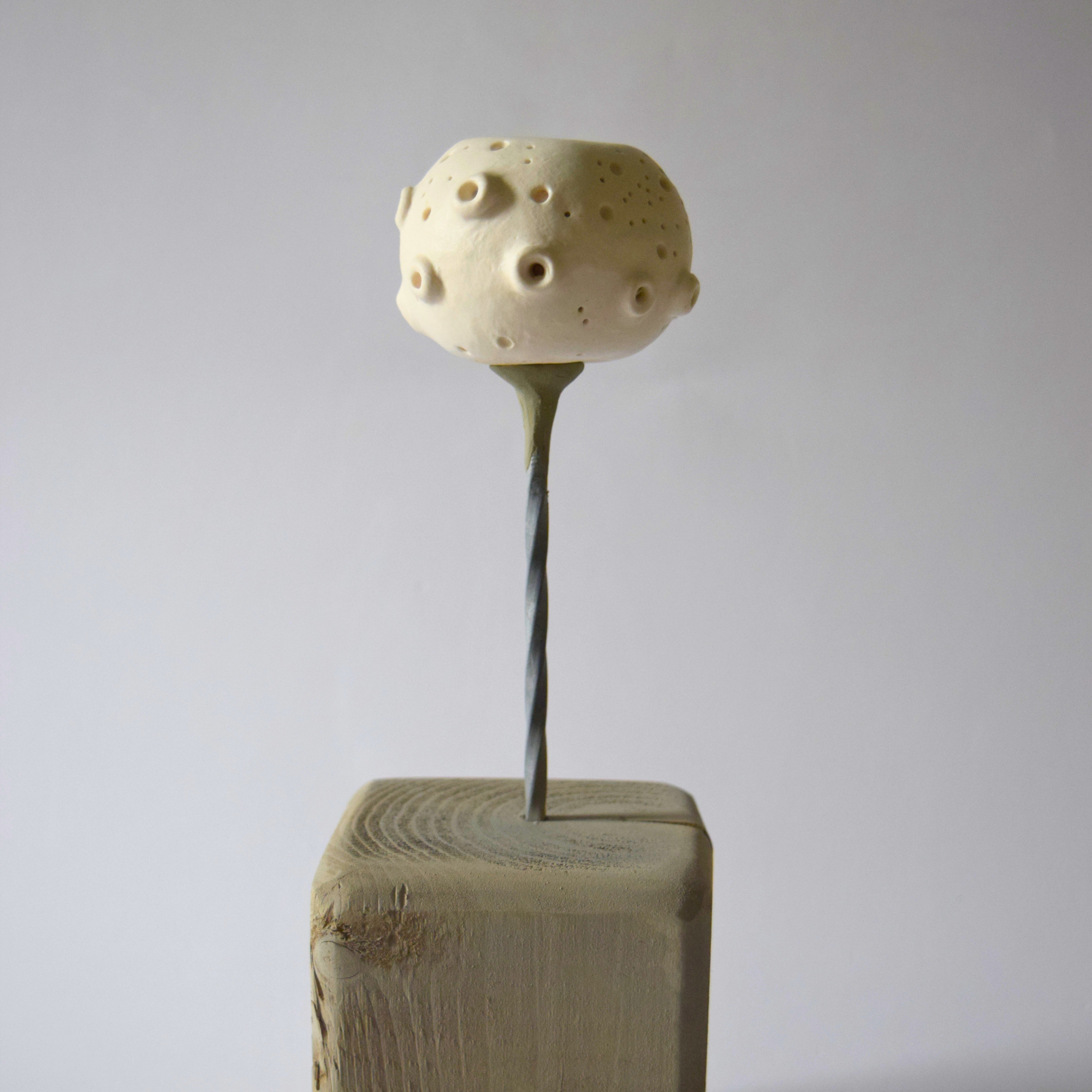 Berzi, Anaïs - Apple 03