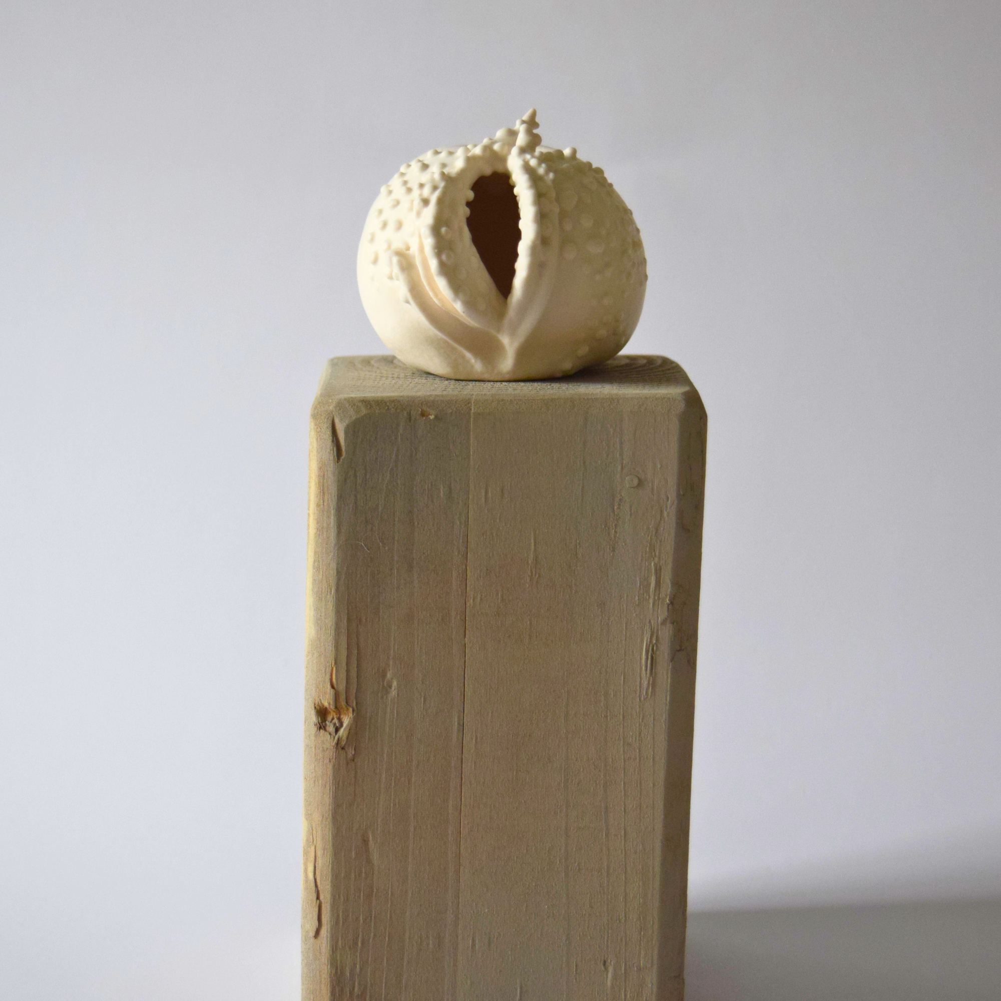 Berzi, Anaïs - Apple 01