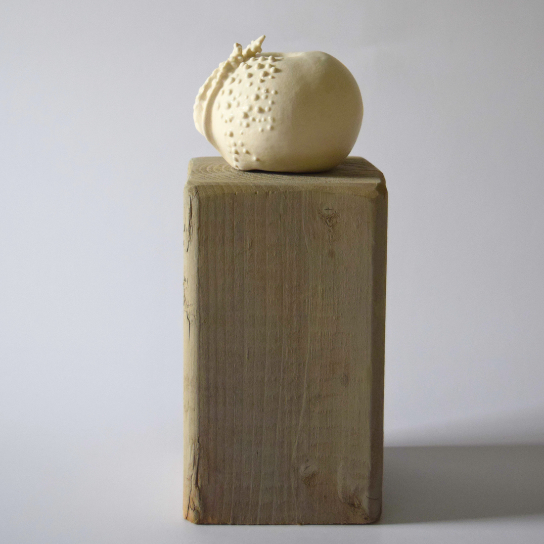 Berzi, Anaïs - Apple 01