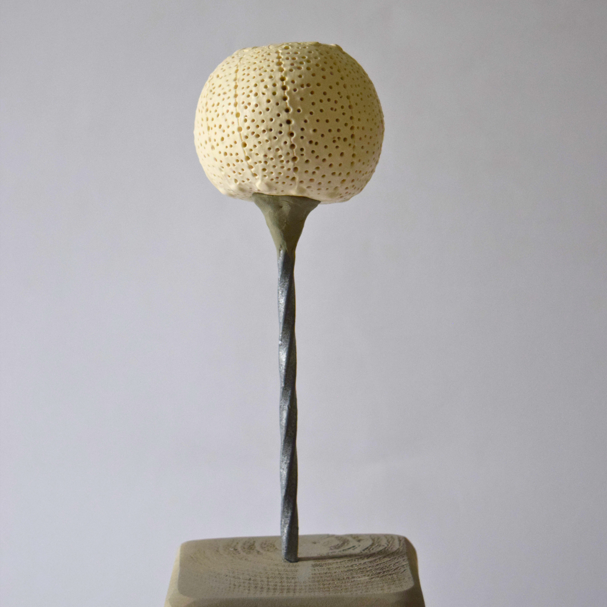 Berzi, Anaïs - Apple 10