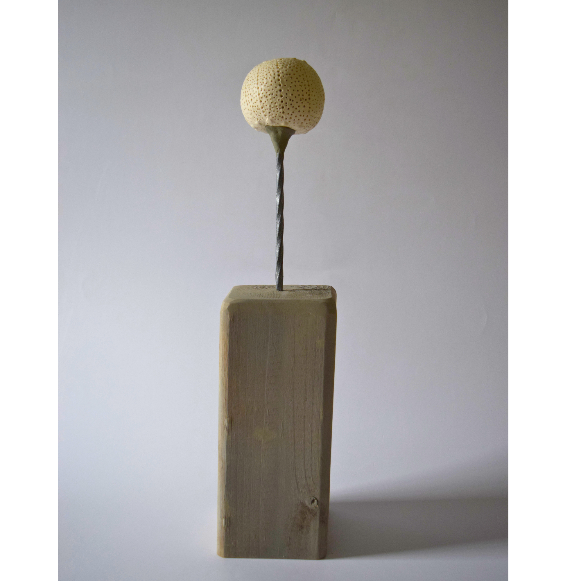 Berzi, Anaïs - Apple 10