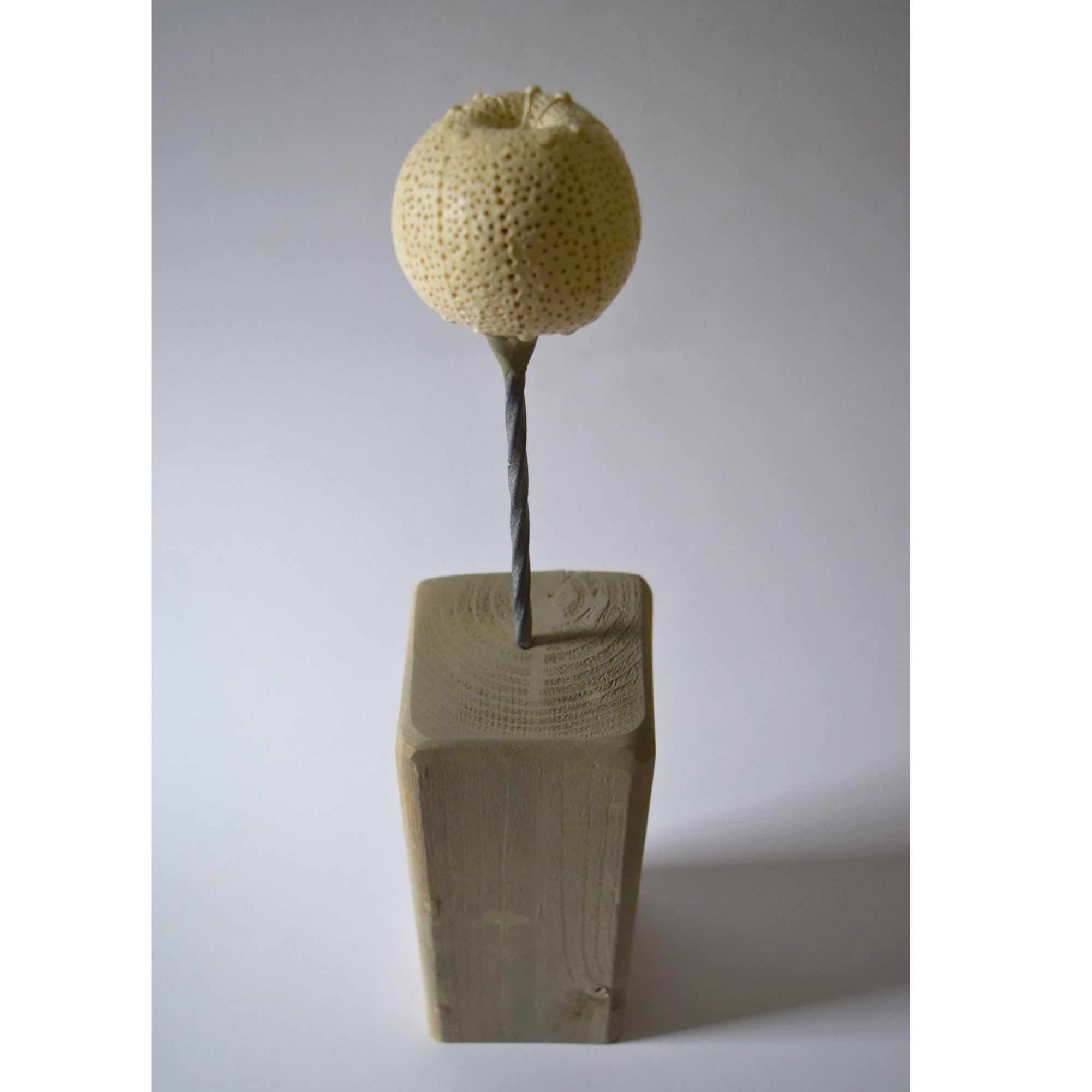 Berzi, Anaïs - Apple 10