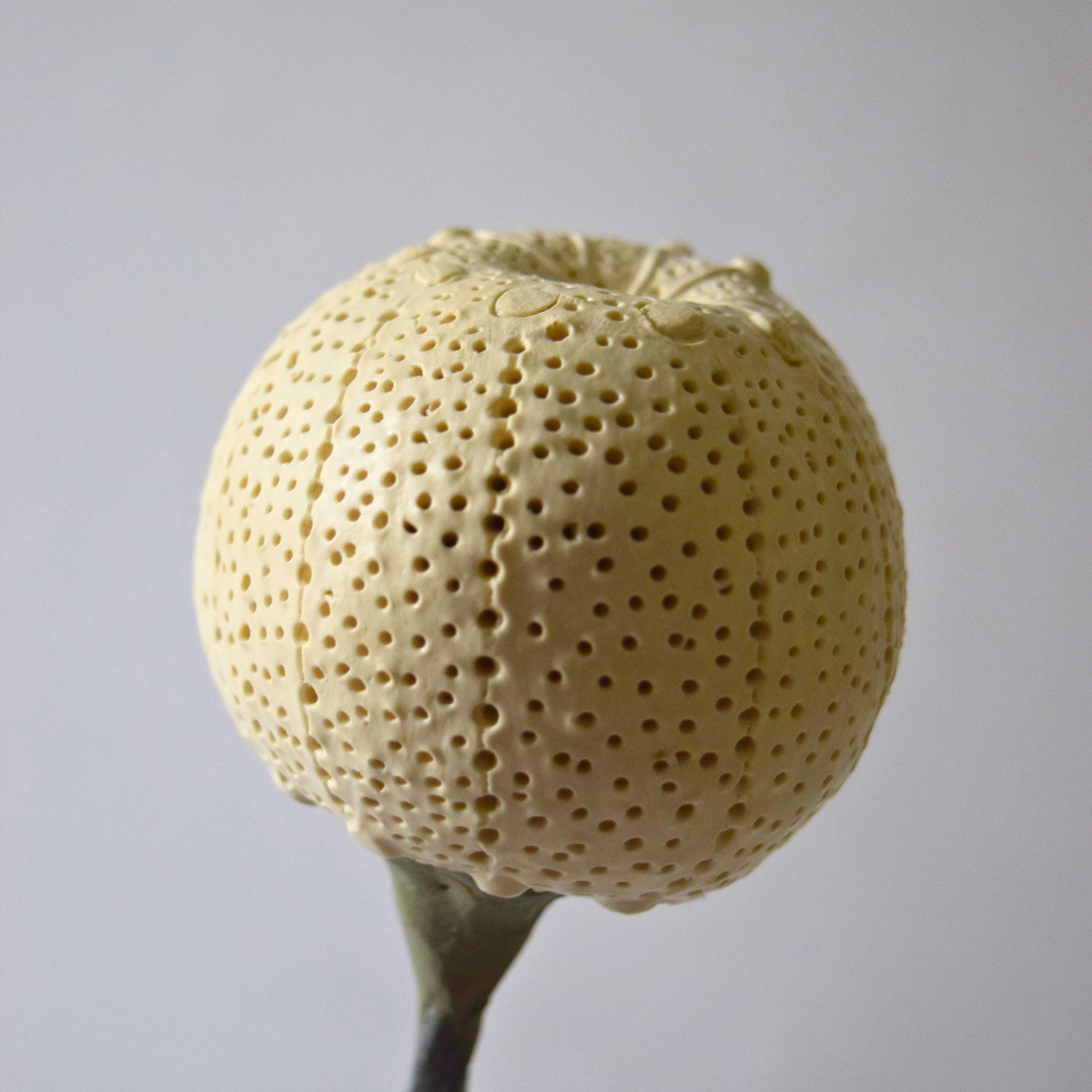 Berzi, Anaïs - Apple 10