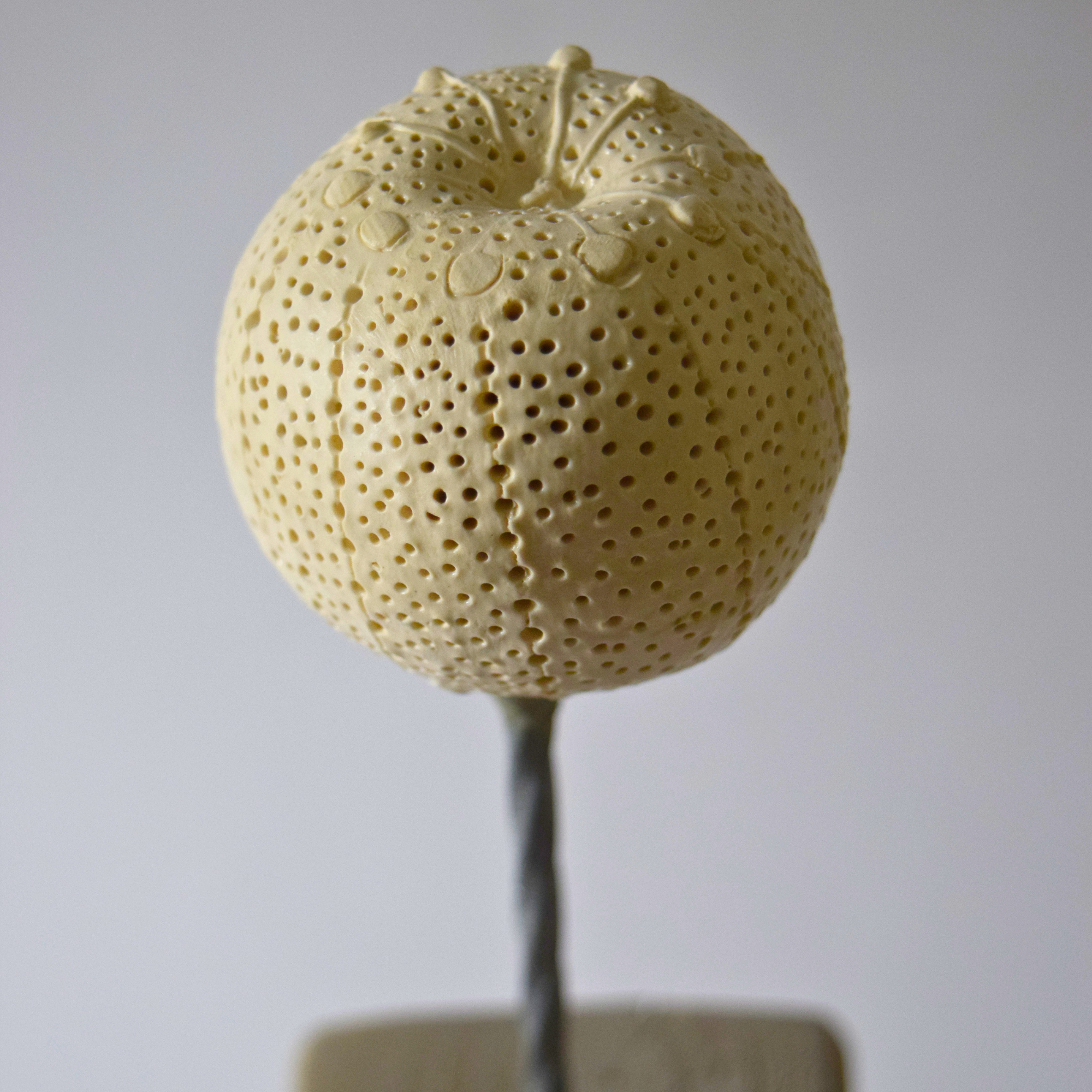 Berzi, Anaïs - Apple 10