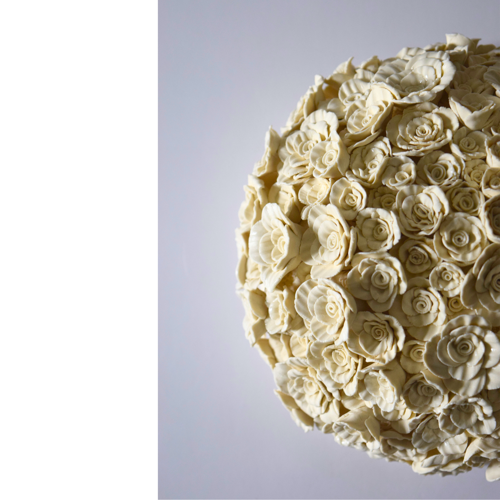 Corn, Wendy - Wallflower Roses, m