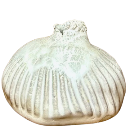 Griffin, Margaret - Bud vase