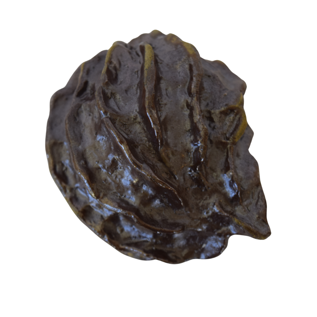 Hutchinson, Robin - #13 Gourde / Gourd