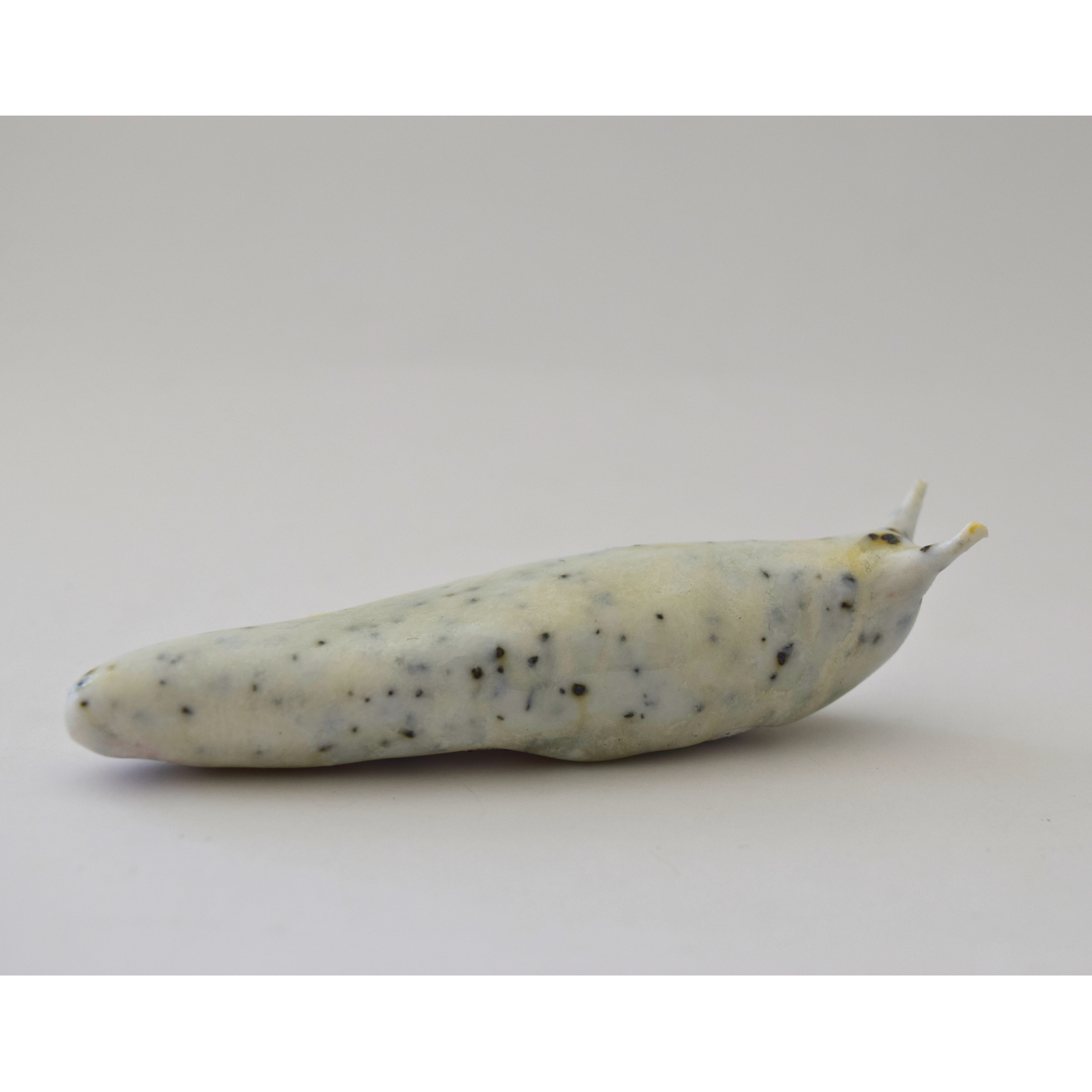 Swanson, Linda - Slug (boxed) 02