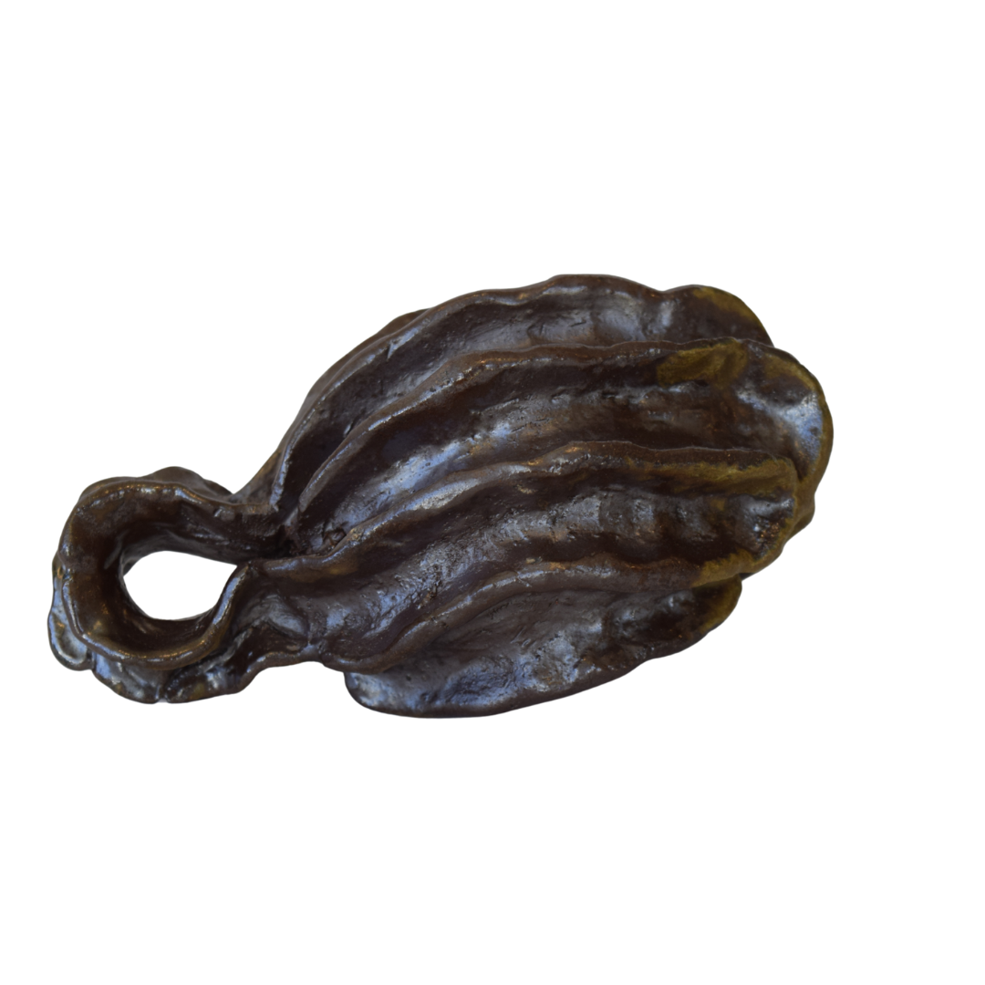 Hutchinson, Robin - #13 Gourde / Gourd