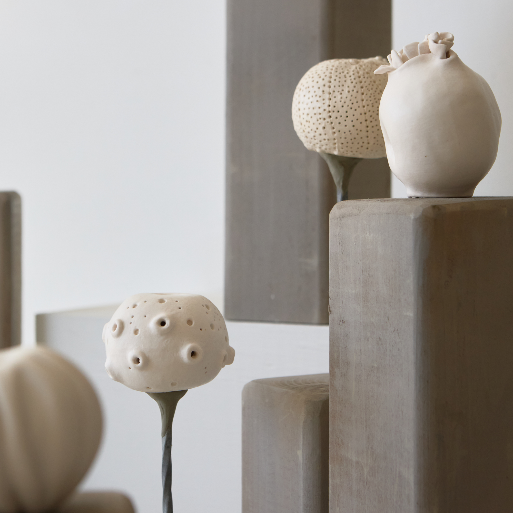 Berzi, Anaïs - Apple 11